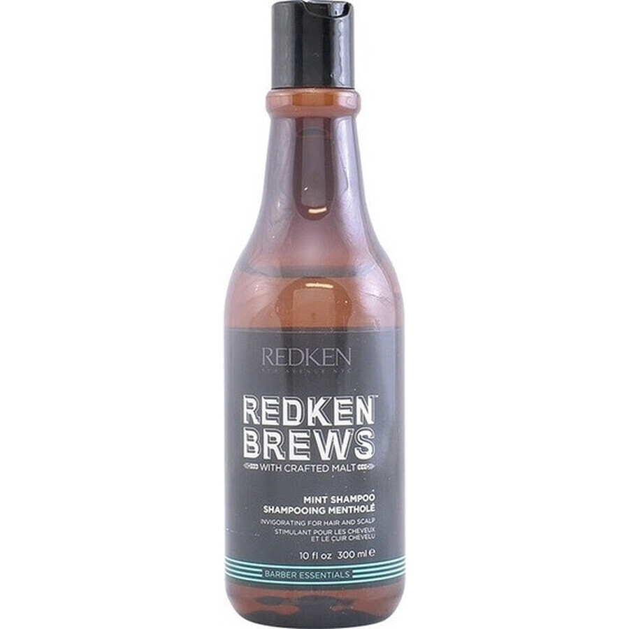 Redken Men's Invigorating Mint Hair Champú Brebajes 1×300 ml, champú