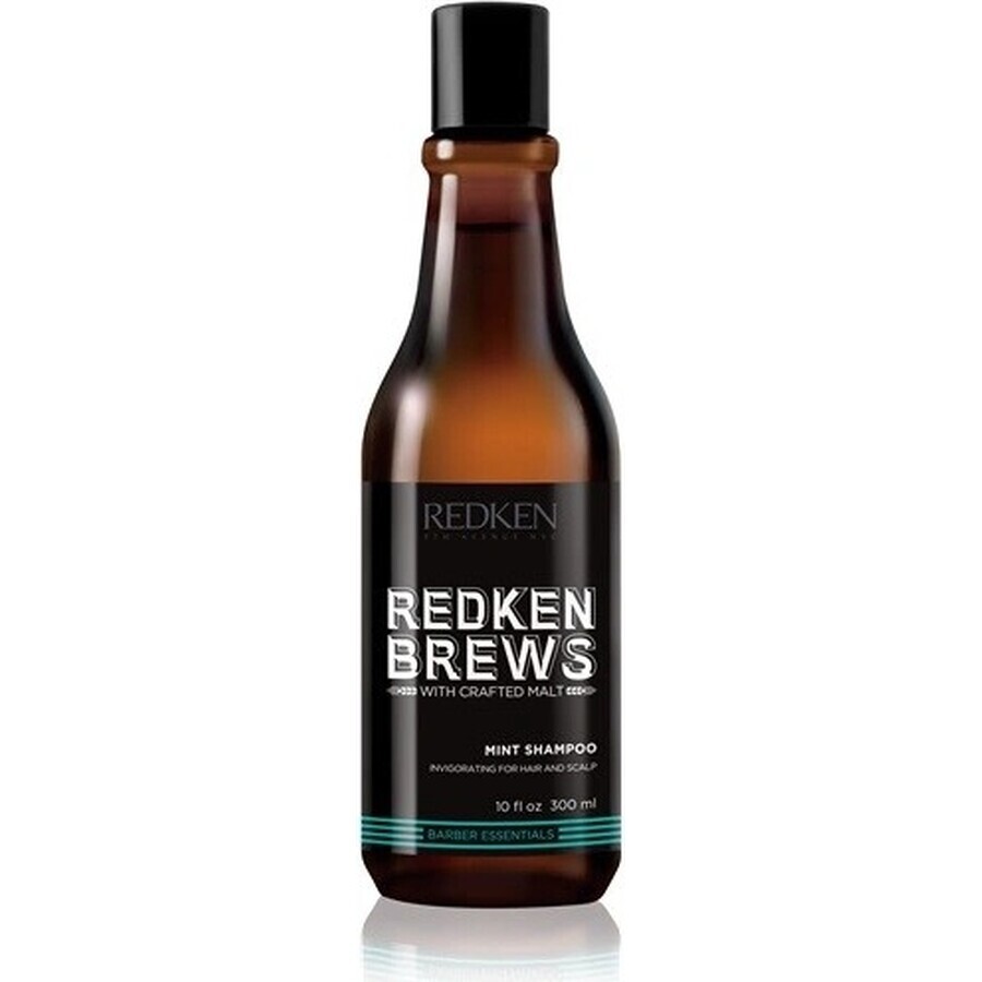 Redken Men's Invigorating Mint Hair Champú Brebajes 1×300 ml, champú