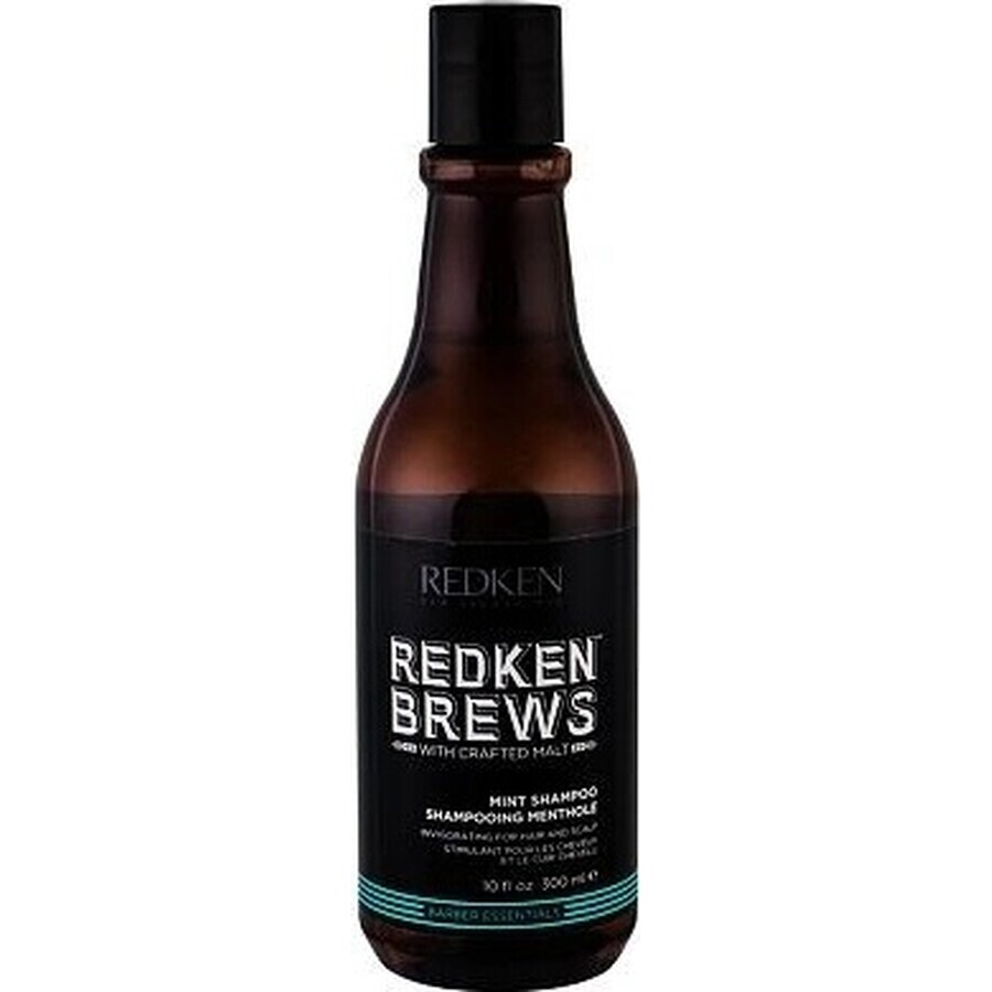 Redken Men's Invigorating Mint Hair Champú Brebajes 1×300 ml, champú