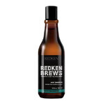 Redken Men's Invigorating Mint Hair Champú Brebajes 1×300 ml, champú