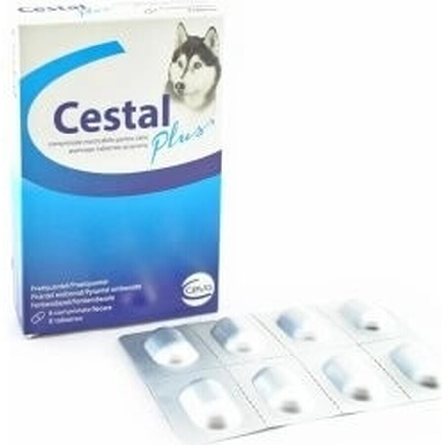 Cestal Plus kauwtabletten voor honden 1×8 tbl, gearomatiseerde parasiettabletten voor honden