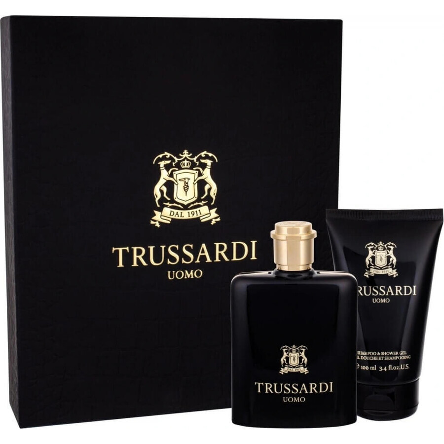 Trussardi Uomo 2011 Edt 100ml 1×100 ml, Eau de toilette