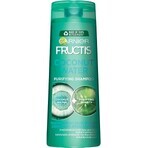 GARNIER FRUCTIS COCONUT WATER șampon 1×250ml, șampon pentru păr