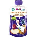 HiPP BIO Smoothie MIX Apfel-Birne-Heidelbeeren 1×120 ml, Obst und Gemüse, 12m+