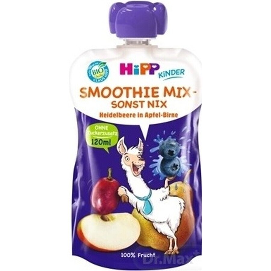 HiPP BIO Smoothie MIX Apfel-Birne-Heidelbeeren 1×120 ml, Obst und Gemüse, 12m+