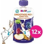 HiPP BIO Smoothie MIX Apfel-Birne-Heidelbeeren 1×120 ml, Obst und Gemüse, 12m+