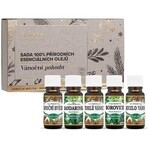 Saloos Christmas well-being-set de uleiuri esențiale 100% naturale 5x10 ml, set de uleiuri esențiale