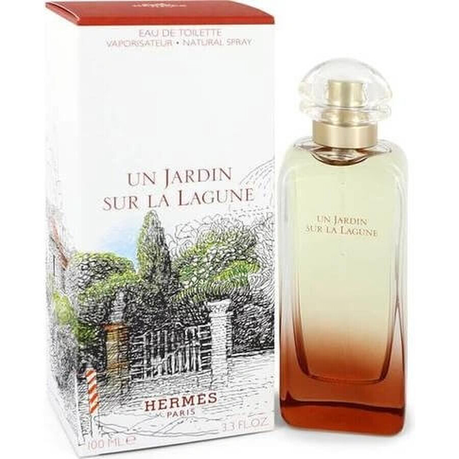 HERMES UN JARDIN SUR LA LAGUNE eau de toilette 1×100ml, eau de toilette for men and women