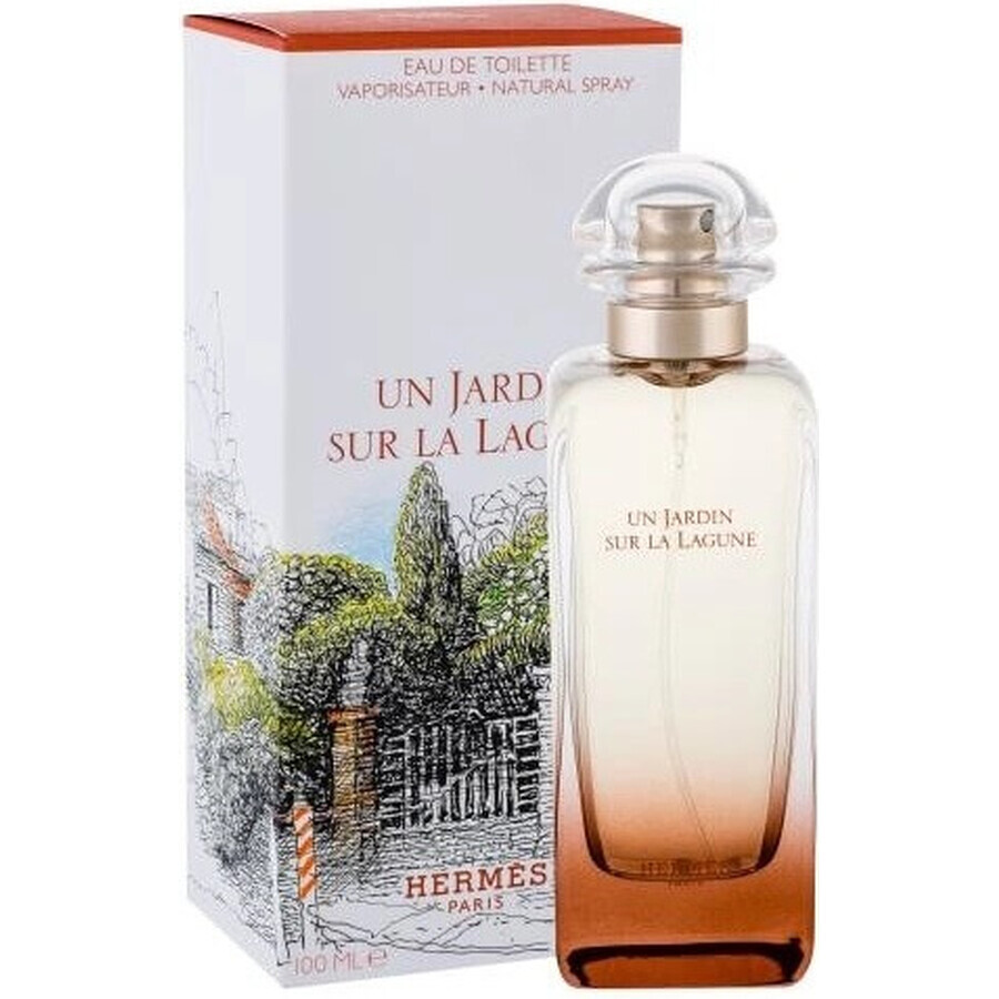 HERMES UN JARDIN SUR LA LAGUNE eau de toilette 1×100ml, eau de toilette for men and women