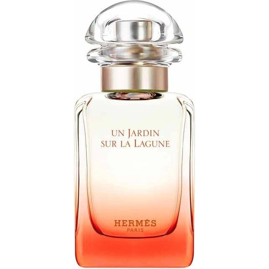 HERMES UN JARDIN SUR LA LAGUNE eau de toilette 1×100ml, eau de toilette for men and women