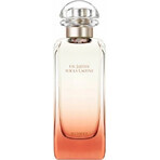 HERMES UN JARDIN SUR LA LAGUNE eau de toilette 1×100ml, eau de toilette for men and women