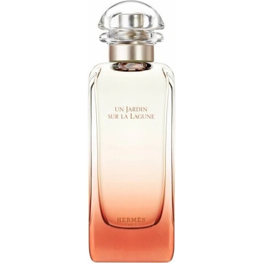 HERMES UN JARDIN SUR LA LAGUNE eau de toilette 1×100ml, eau de toilette for men and women