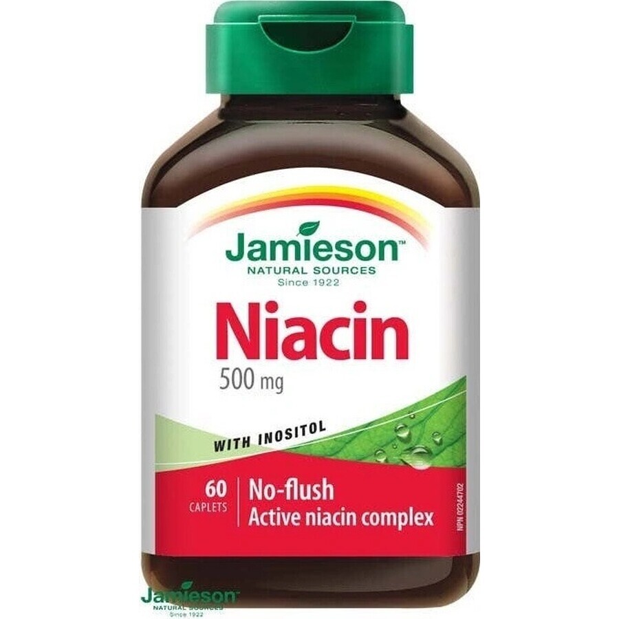 JAMIESON NIACIN 500 mg CU INOSITOL 1×60 tbl, niacin