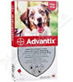 Advantix Spot-on pentru c&#226;ini de la 10 la 25 kg 1&#215;2,5 ml, pipetă