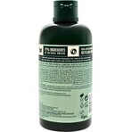 The Body Shop Après-shampoing pour cheveux gras Arbre à thé 1×250 ml, après-shampoing