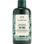 The Body Shop Après-shampoing pour cheveux gras Arbre à thé 1×250 ml, après-shampoing