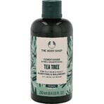 The Body Shop Après-shampoing pour cheveux gras Arbre à thé 1×250 ml, après-shampoing