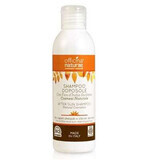 Șampon Natural After Sun, 150ml, Officina Naturae