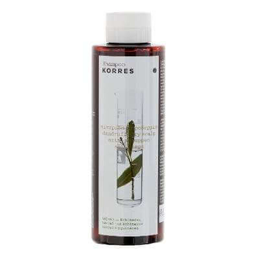 Șampon pentru păr gras cu extracte de dafin și echinacea, 250 ml, Korres