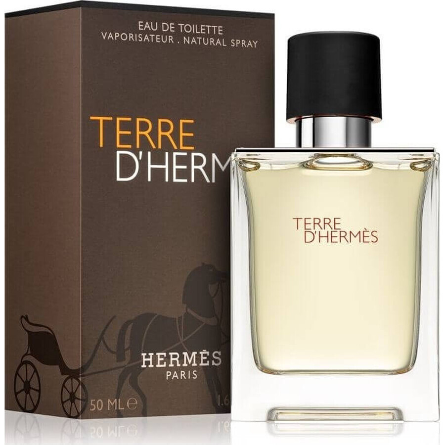 Hermes Terre D Hermes Edt 50ml 1×50 ml, Eau de toilette