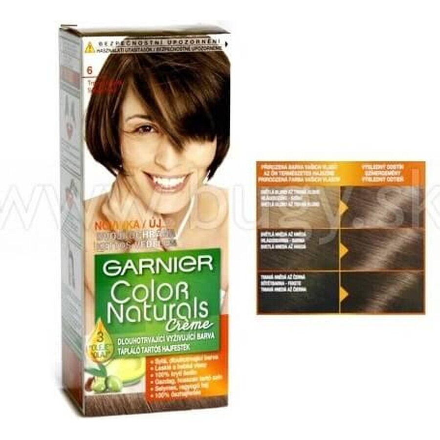 Garnier Color Naturals colore permanente per capelli 6.00 Biondo Scuro 1×1 pezzo, colore per capelli