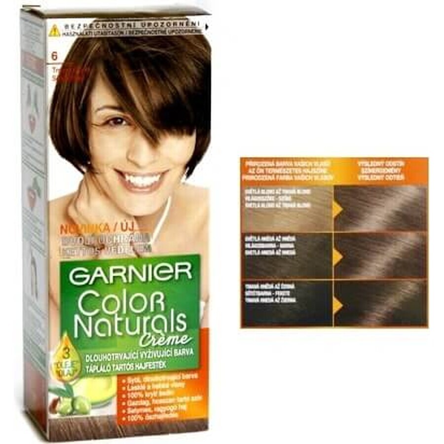 Garnier Color Naturals colore permanente per capelli 6.00 Biondo Scuro 1×1 pezzo, colore per capelli