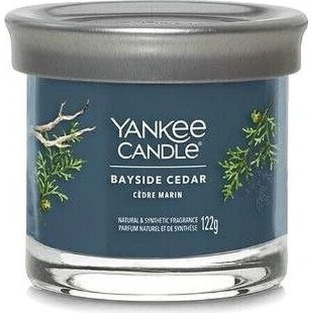 Yankee Candle Signature petite bougie Bayside Cedar 1×122 g Bayside Cedar 1×122 g, bougie parfumée