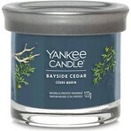 Yankee Candle Signature petite bougie Bayside Cedar 1×122 g Bayside Cedar 1×122 g, bougie parfumée