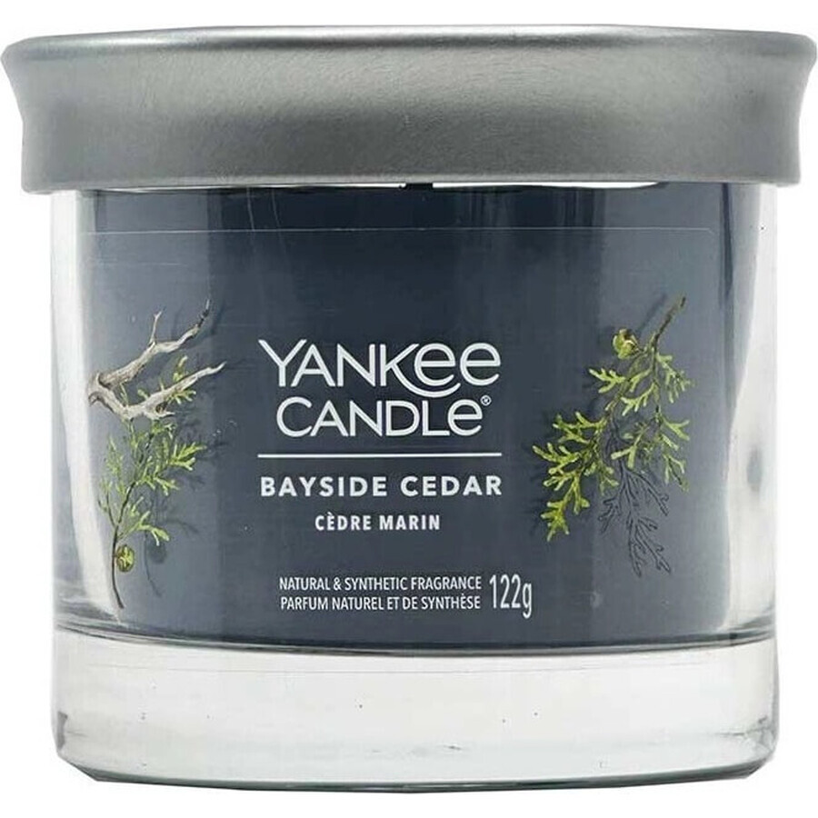 Yankee Candle Signature petite bougie Bayside Cedar 1×122 g Bayside Cedar 1×122 g, bougie parfumée