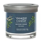 Yankee Candle Signature petite bougie Bayside Cedar 1×122 g Bayside Cedar 1×122 g, bougie parfumée