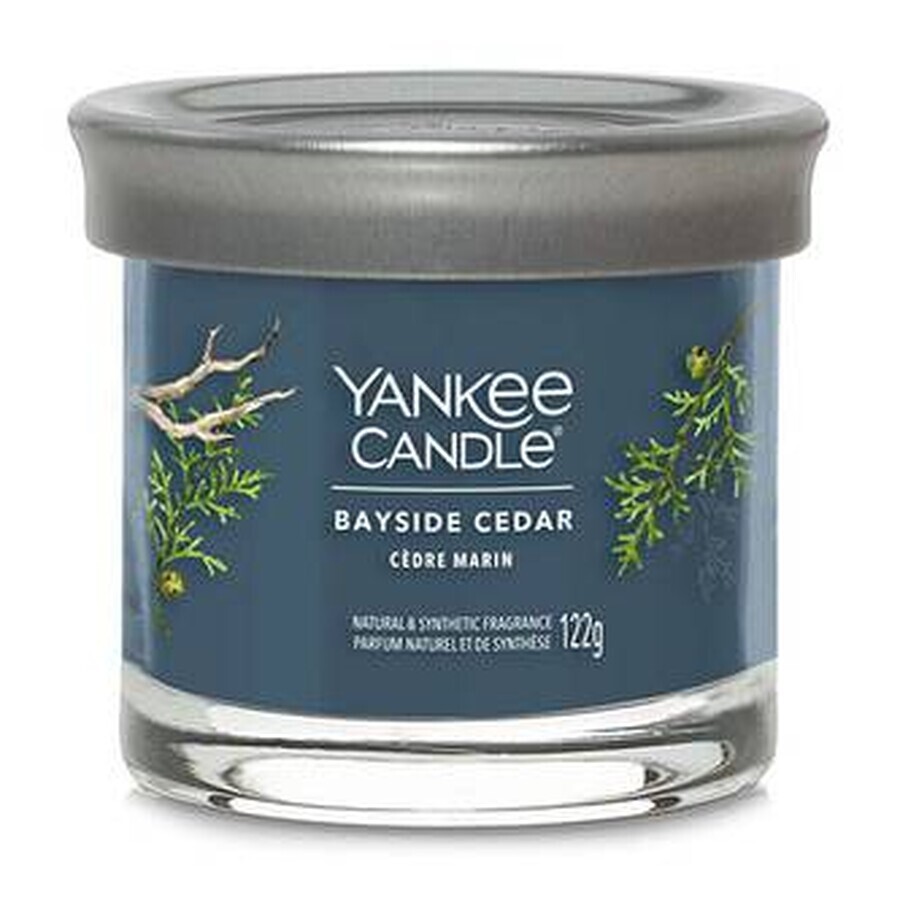 Yankee Candle Signature petite bougie Bayside Cedar 1×122 g Bayside Cedar 1×122 g, bougie parfumée