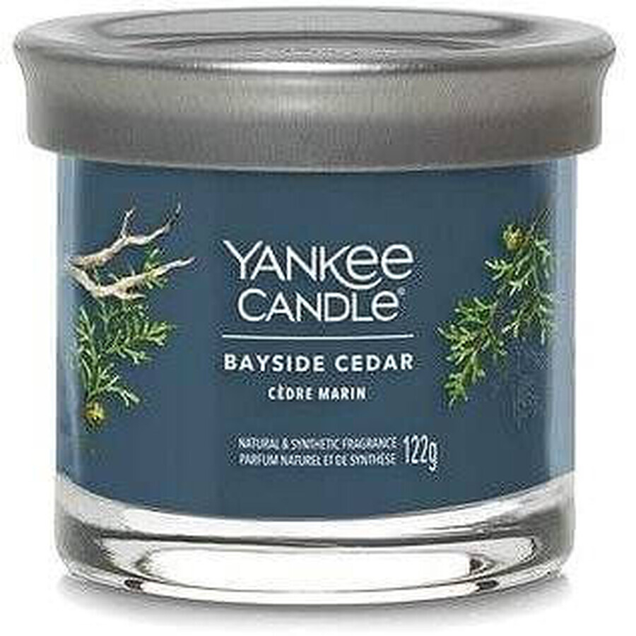 Yankee Candle Signature petite bougie Bayside Cedar 1×122 g Bayside Cedar 1×122 g, bougie parfumée