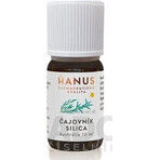 HANUS SILICA TUB 1×10 ml, aceite