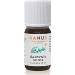 HANUS SILICA TUB 1×10 ml, aceite