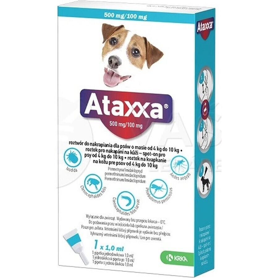 Ataxxa 500 mg/100 mg (Hunde von 4 kg bis 10 kg) 1×1 ml, Lösung für Hunde