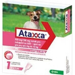 Ataxxa 500 mg/100 mg (Hunde von 4 kg bis 10 kg) 1×1 ml, Lösung für Hunde