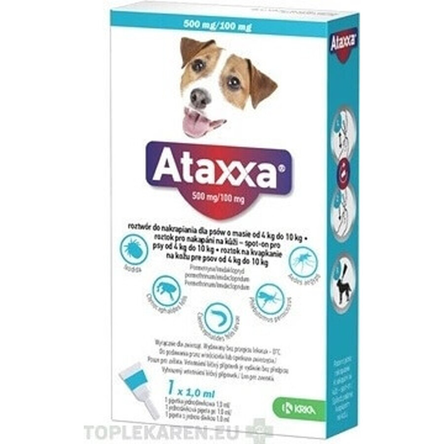 Ataxxa 500 mg/100 mg (Hunde von 4 kg bis 10 kg) 1×1 ml, Lösung für Hunde