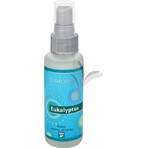 SALOOS Spray profumato per aria al limone 1×50 ml spray