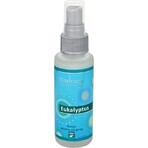 SALOOS Spray profumato per aria al limone 1×50 ml spray