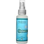 SALOOS Spray profumato per aria al limone 1×50 ml spray