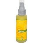 SALOOS Spray profumato per aria al limone 1×50 ml spray