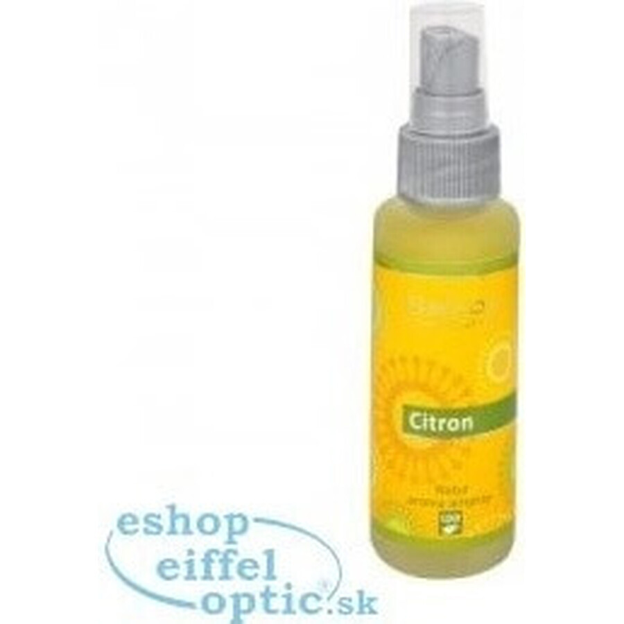 SALOOS Spray profumato per aria al limone 1×50 ml spray