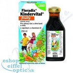 SALUS Floradix Floradix Kindervital fruitig 1×250 ml, kruidensiroop