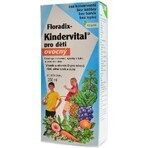 SALUS Floradix Floradix Kindervital fruitig 1×250 ml, kruidensiroop