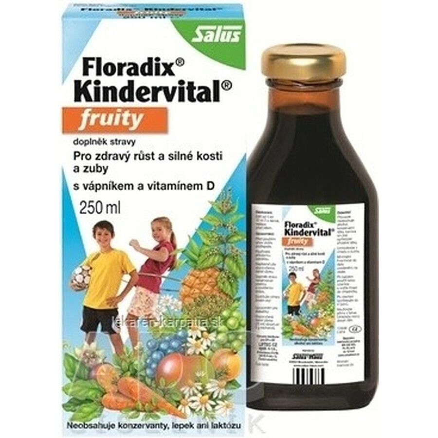 SALUS Floradix Floradix Kindervital fruitig 1×250 ml, kruidensiroop