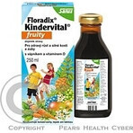 SALUS Floradix Floradix Kindervital fruitig 1×250 ml, kruidensiroop