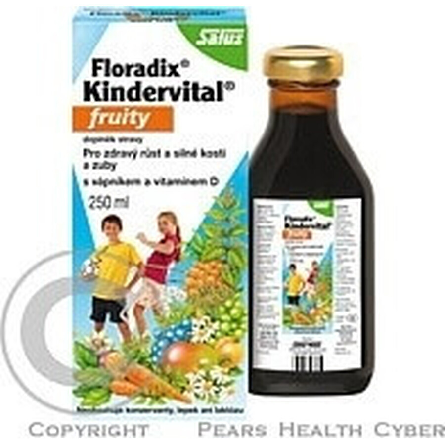 SALUS Floradix Floradix Kindervital fruitig 1×250 ml, kruidensiroop