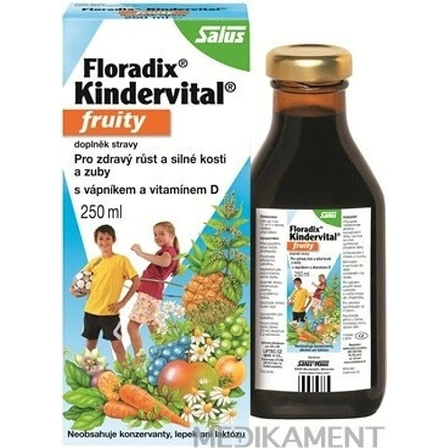 SALUS Floradix Floradix Kindervital fruitig 1×250 ml, kruidensiroop