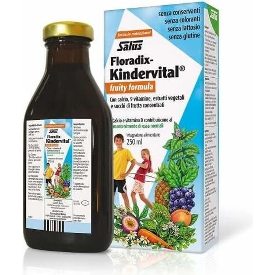 SALUS Floradix Floradix Kindervital fruitig 1×250 ml, kruidensiroop