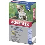 ADVANTIX SPOT-ON PES 4×4 ml, preparat antiparazitar repelent